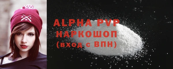 стафф Вязьма