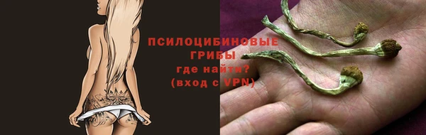 стафф Вязьма