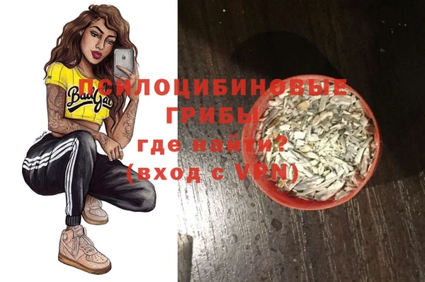 стафф Вязьма