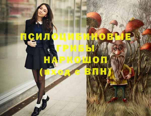 стафф Вязьма