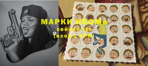 стафф Вязьма